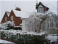 Cottages on Merrow Street