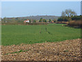 Farmland, Marlow