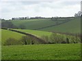 Farmland, Marlow