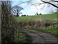 Cottages across the field