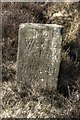 Close up of the boundary stone