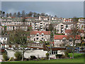 Houses at Silverbuthall