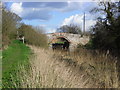 SO8560 : Droitwich Barge Canal, bridge at Mildenham by Chris Allen