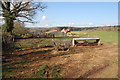 Sheep pasture near Gorsley in early April