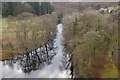 SJ0119 : River Vyrnwy below the dam by John Firth