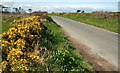 The Drumfad Road near Carrowdore (2)