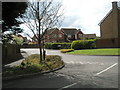 Looking from Durford Road towards Woodlark Gardens