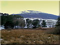 Looking towards Knock Hill from Glenbarry