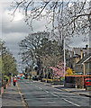 South Street, Cottingham