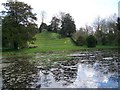 Pond, Downton Moot Gardens