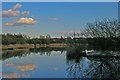 Lake in Kennington Park