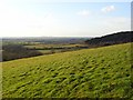 Hillside above Watlington