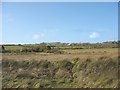 SH4787 : View across the salt marsh in the direction of Pentref Eirianell Farm by Eric Jones