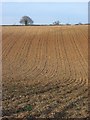 Farmland, Mapledurham