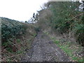 Bridleway leading down to Nant Uchaf