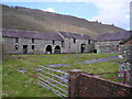 Outbuildings at Faerdre Fawr