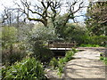 Footpath bridge over Tregoniggie stream