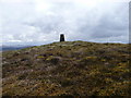 NS3501 : The Trig Point on Back Fell. by david johnston