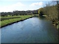 River Avon, Upper Woodford