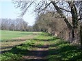 Footpath to Durnford Mill