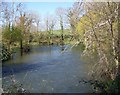 River Avon at Durnford Mill