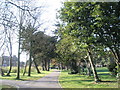 Path through Ravelin Park