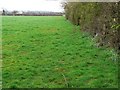 SU1181 : Field margin, Hay Lane, near Salthrop by Brian Robert Marshall