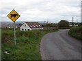 W6967 : Cow Sign at the Top of Scairt Hill by Ian Paterson