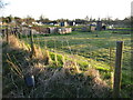 Clanking: Kimble Allotments