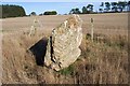 Rappla Standing Stone Aberdeenshire 2006