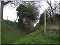SJ3921 : Well used bridleway by Row17