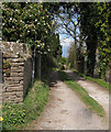 Footpath at Llangrove