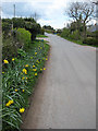 Country road through Llangrove