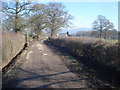 Lane to Riddings Farm