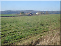 Farmland near Hillhouse Farm