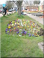 Pretty flowerbed within Chichester Canal basin