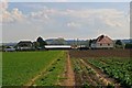 Rye Street Farm