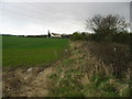 View along field boundary with Pye Alley Lane