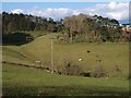 Valley below Buttshill Cross