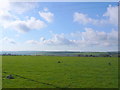 Pasture fields near Dorchester