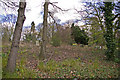 South corner of Brunswick Park Cemetery, London N11