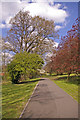 Footpath to East Barnet