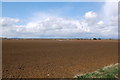 Arable land near Stoke Orchard