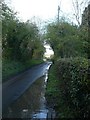 Stour Valley Walk, looking towards the start of the footpath to Stile Farm