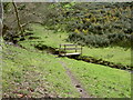 Footbridge over the Stream