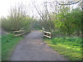 Bridge over Small River Lea