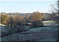 Ugbrooke Stream valley