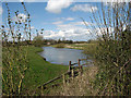 The River Bure