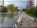 Ealing Road Bridge, Paddington Arm, Grand Union Canal