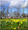 The Grove, Frimley, looking towards Frimley Park Hospital